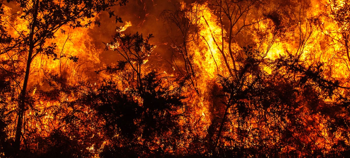 Asturias y Cantabria están sufriendo incendios estos días.