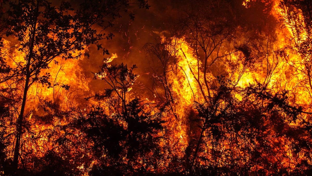 Alerta por incendios: así está la situación en Cantabria