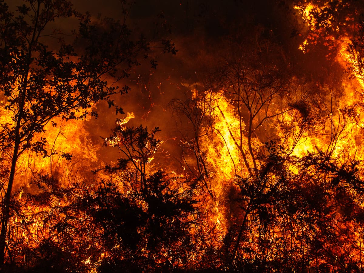 Alerta por incendios: así está la situación en Cantabria