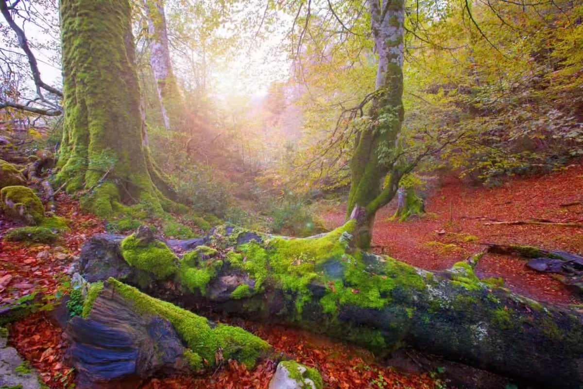 Foto: turismoselvadeirati.com
