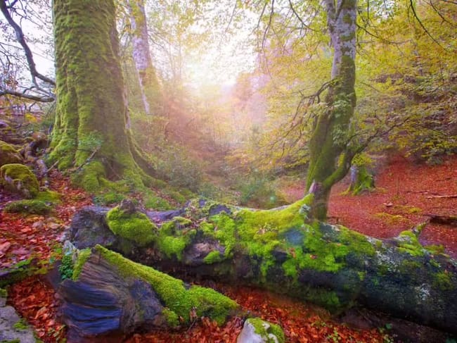 Foto: turismoselvadeirati.com