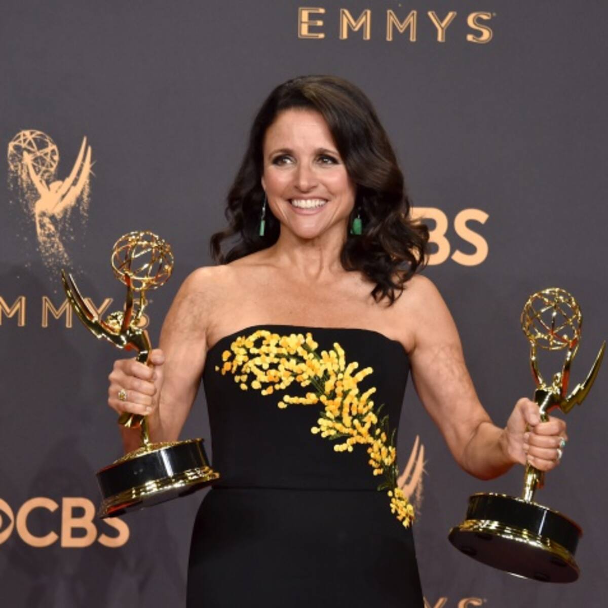 Julia Louis-Dreyfus diagnosticada con Cancer de Seno