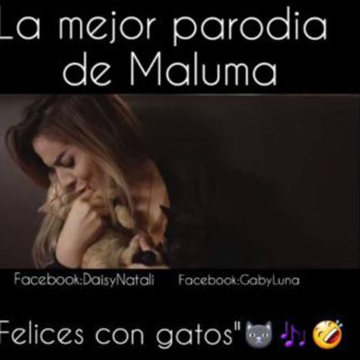 “Felices con Gatos”, la parodia del tema de Maluma