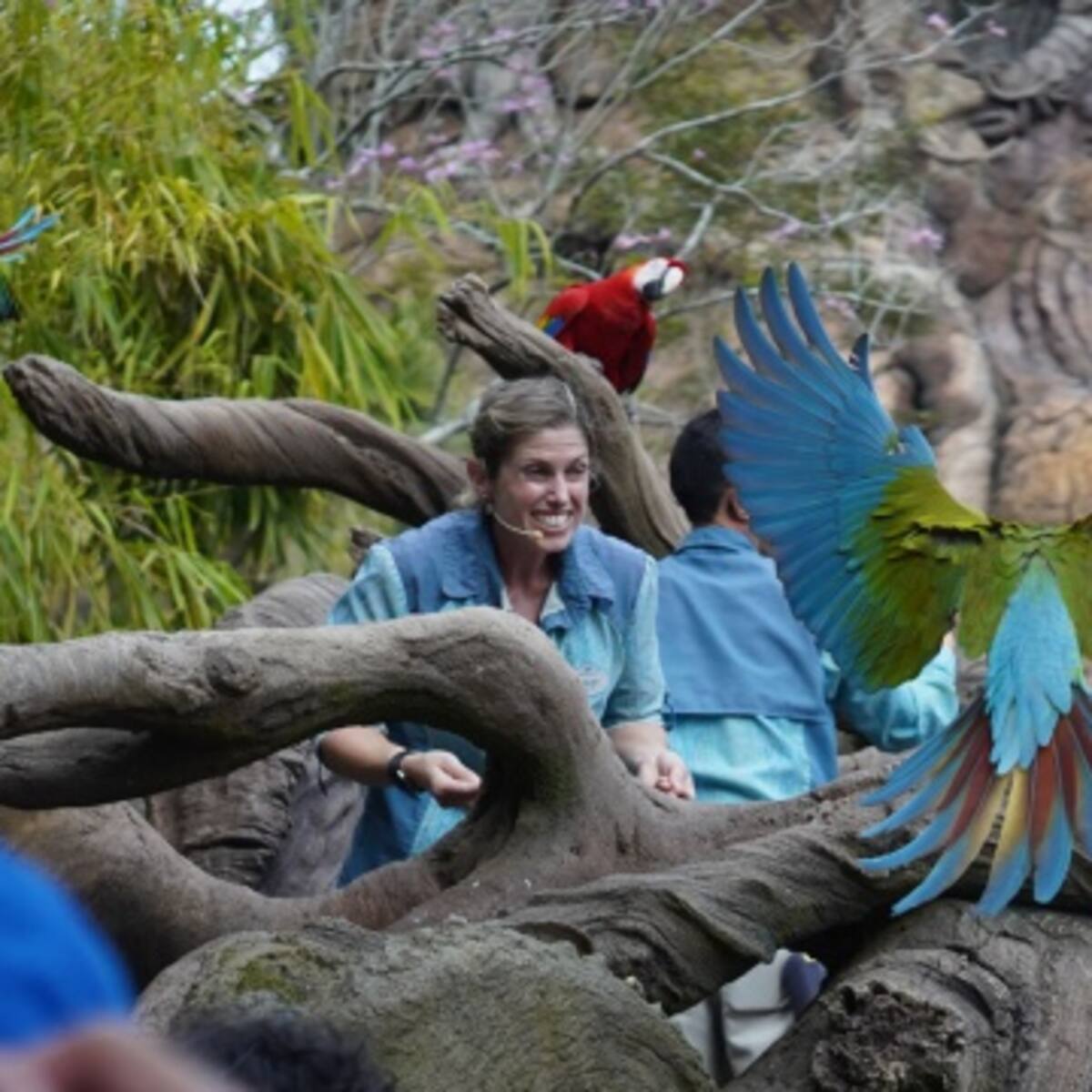 Si amas a Baloo o Simba, no te puedes perder esta magia animal que llega a Disney+