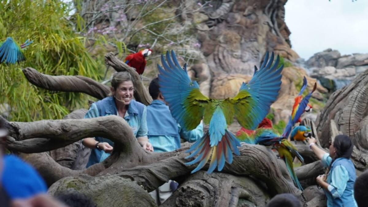 Si amas a Baloo o Simba, no te puedes perder esta magia animal que llega a Disney+