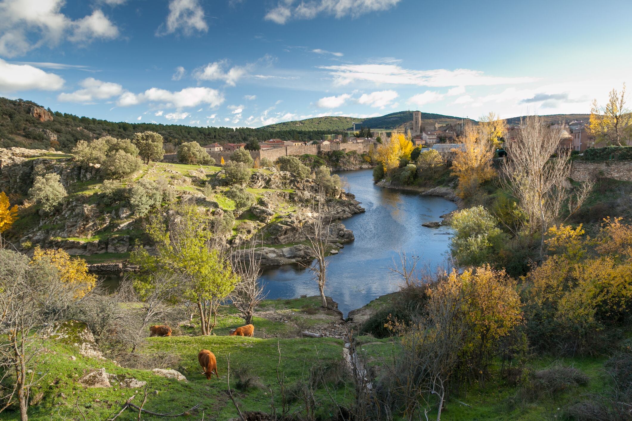 Vista de Buitrago del Lozoya.