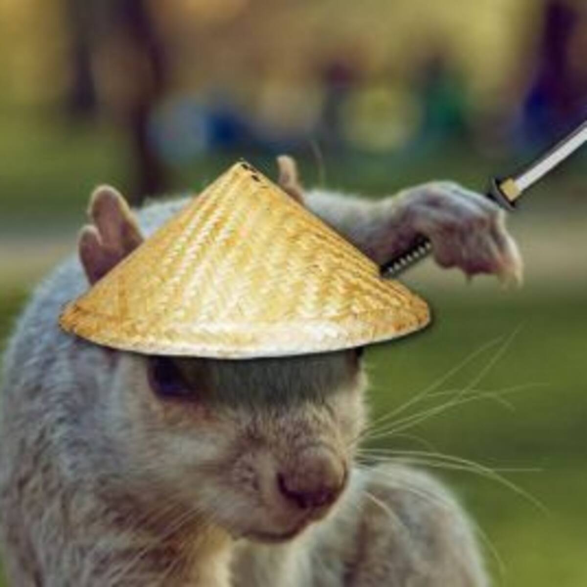 La ardilla photoshopeada que se volvió viral
