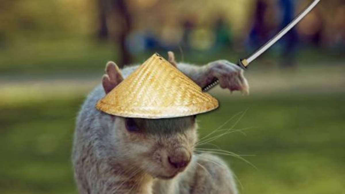 La ardilla photoshopeada que se volvió viral