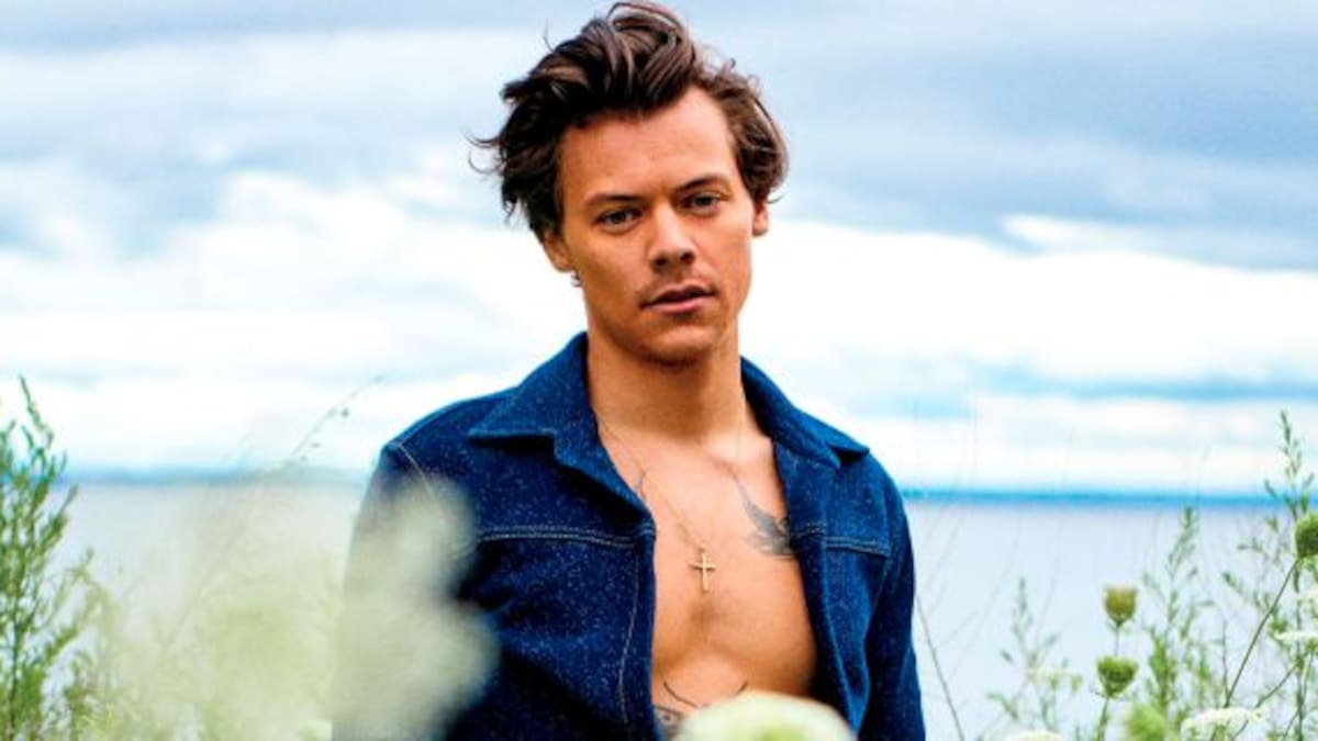 Parece otro: Así se vería Harry Styles de viejo