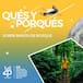 ¿QUÉ ES UN BAÑO DE BOSQUE Y POR QUÉ SON UNA BUENA IDEA?