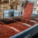 La Tomatina 2025: cuándo es, dónde se hace, por qué se tiran tomates, origen y dónde verlo en directo