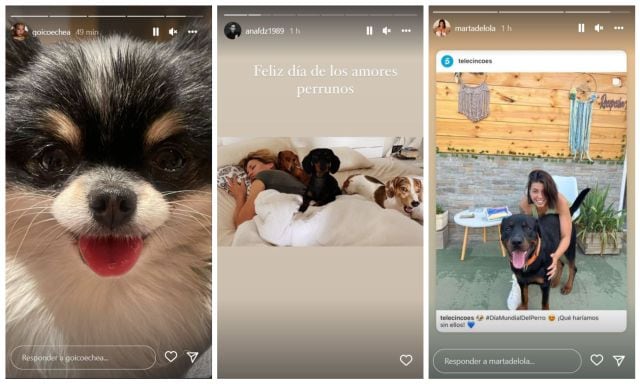 Las fotos de sus perros que han compartido hoy las celebrities.