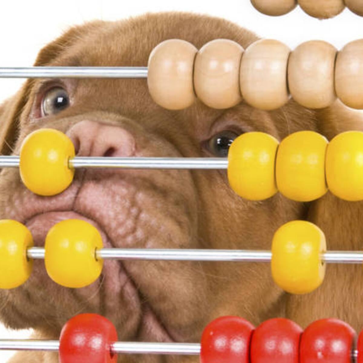 Juanma Ortega se arma un lío con los euros y las pesetas