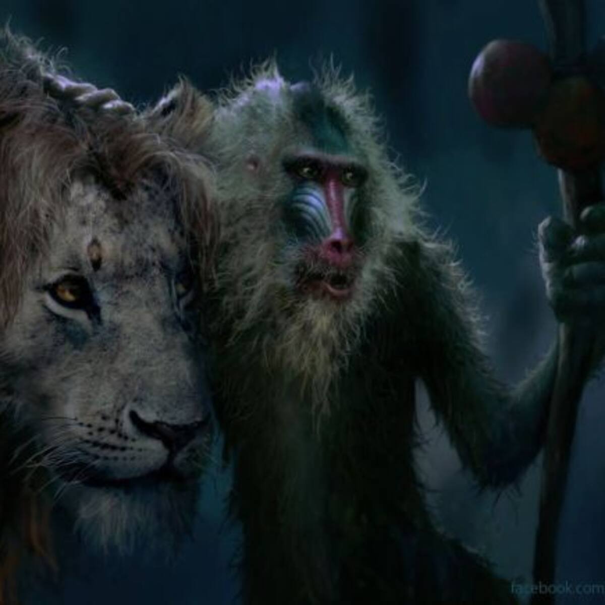 ¡Presten atención! Así luce 'El Rey León' en carne y hueso