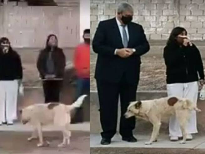 El perro se acercó sigilosamente a la presidenta Susana Prieto hasta que le orinó el pantalón