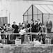 The Beatles: Más de 50 años de aquel mítico concierto en la azotea