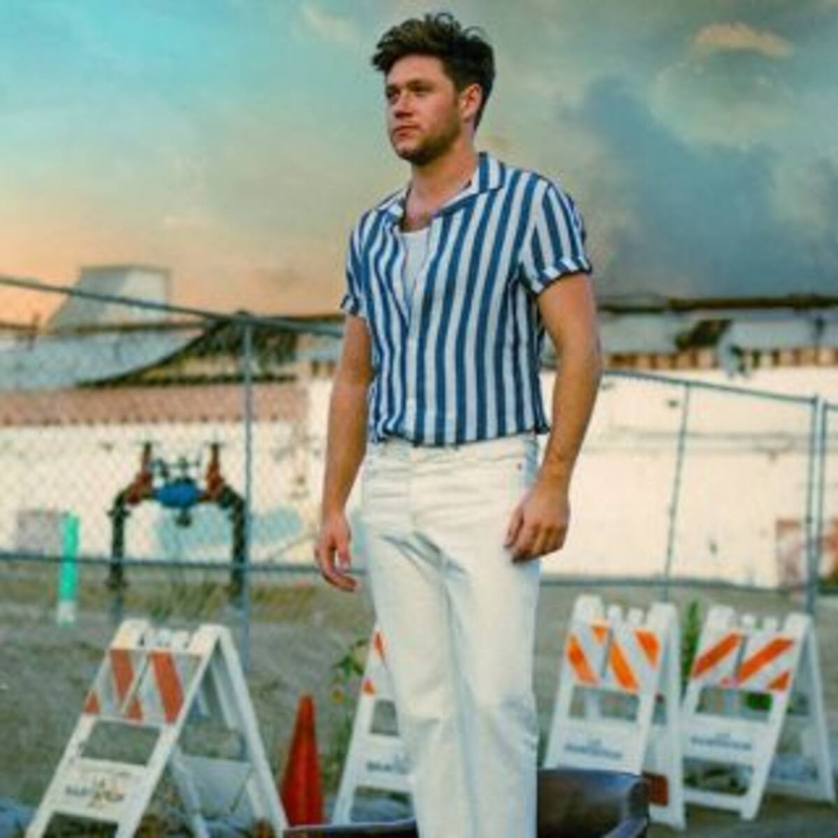 Niall Horan anunció el lanzamiento de su tercer álbum, 'The Show'