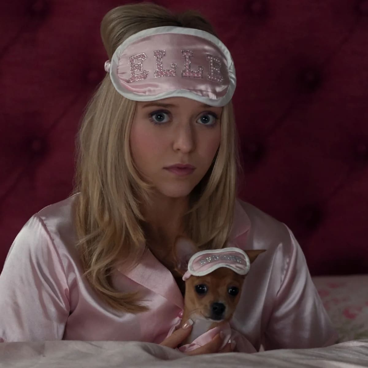 ¿Habrá segunda temporada de 'Elle', la serie precuela de 'Una Rubia Muy Legal' en Prime Video?