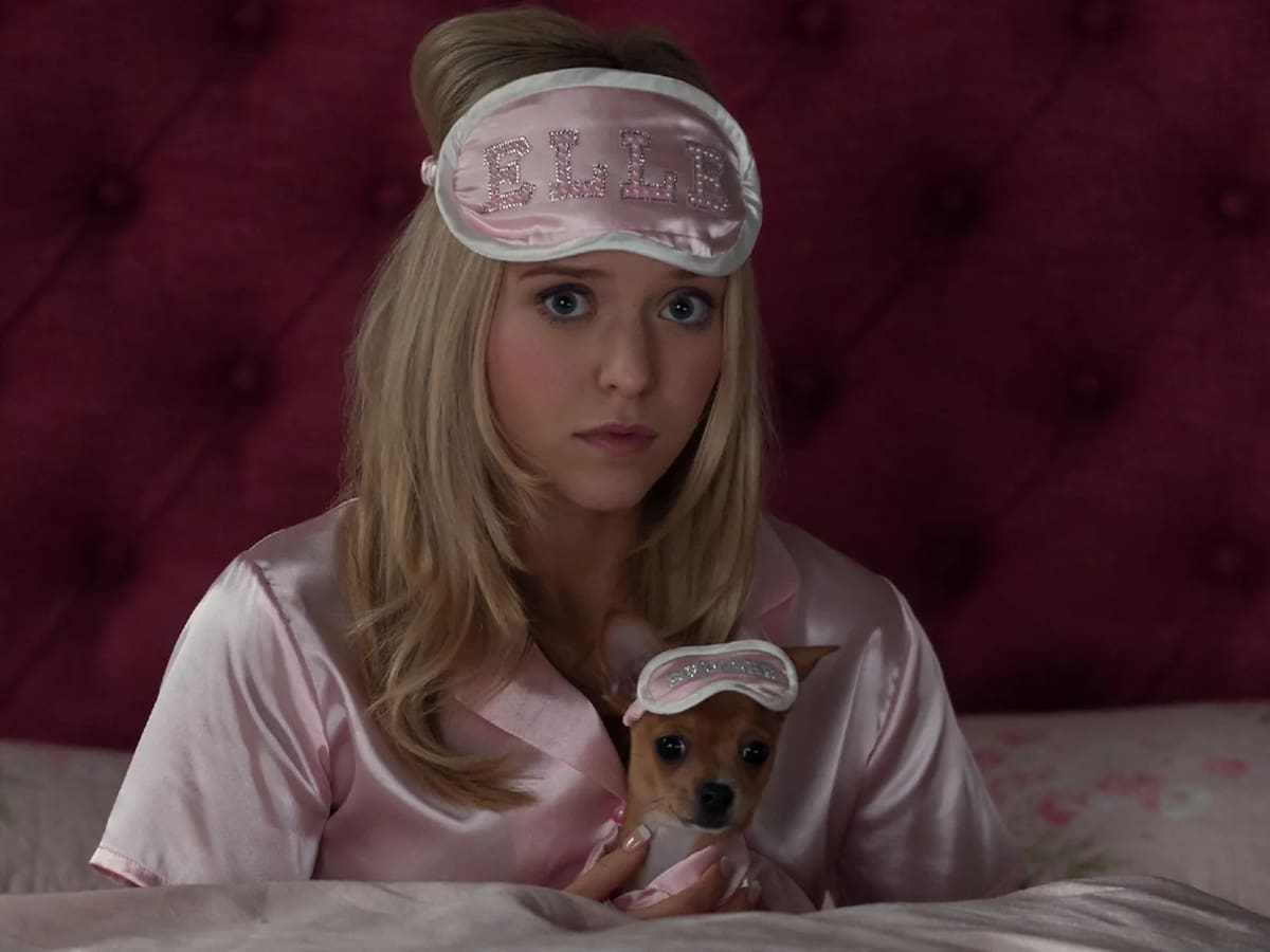 ¿Habrá segunda temporada de 'Elle', la serie precuela de 'Una Rubia Muy Legal' en Prime Video?