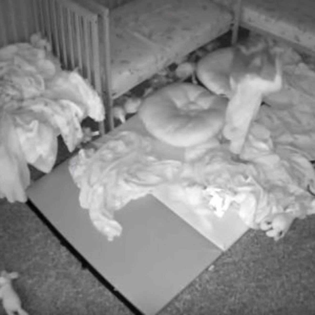 ¡Qué miedo! Una mujer grabó a sus hijas hablando con supuestos fantasmas
