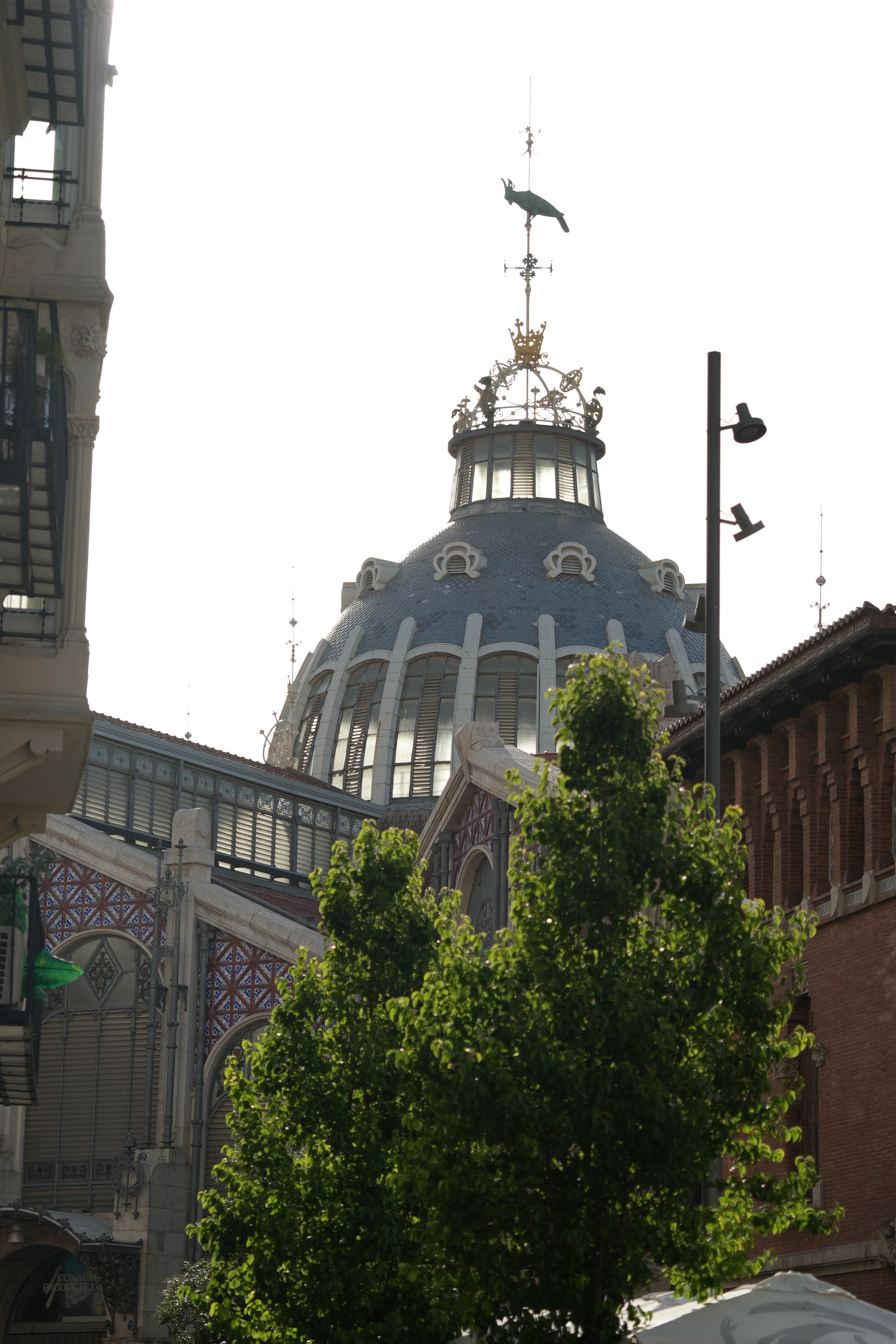 Foto de Sony Alpha 7IV