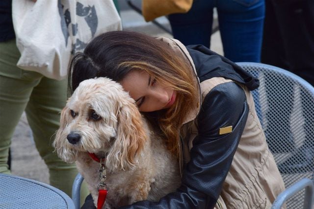 En los buenos y malos momentos tu perro estará