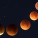 Eclipse de Luna de este sábado 28 de octubre: hora y cómo verlo