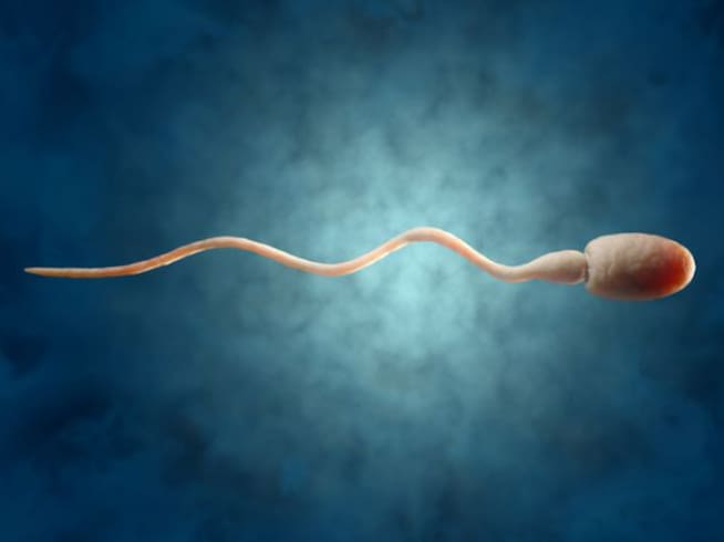 Espermas a partir de células madre