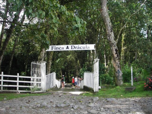 Finca Drácula