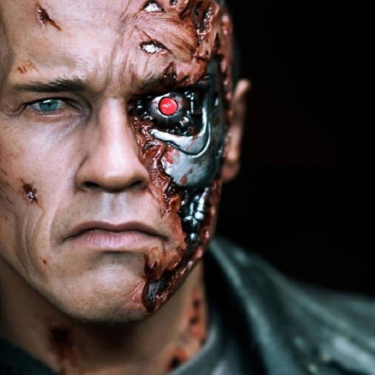 Schwarzenegger confirma que habrá Terminator 6