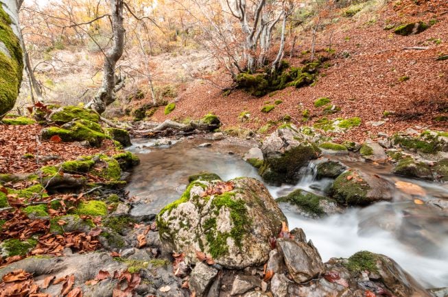 Faedo de Ciñera, en León.