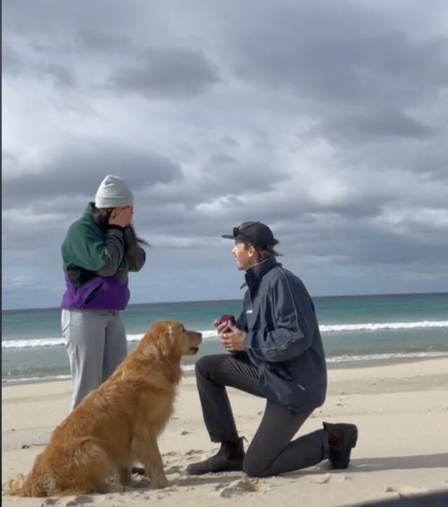 Reacción de perrito se hace viral al ver que sus dueños se comprometieron