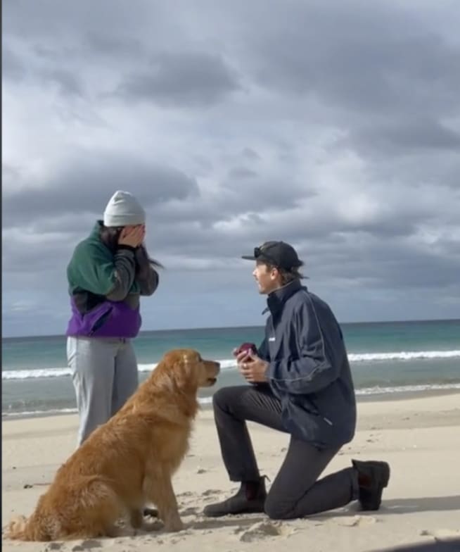 Reacción de perrito se hace viral al ver que sus dueños se comprometieron