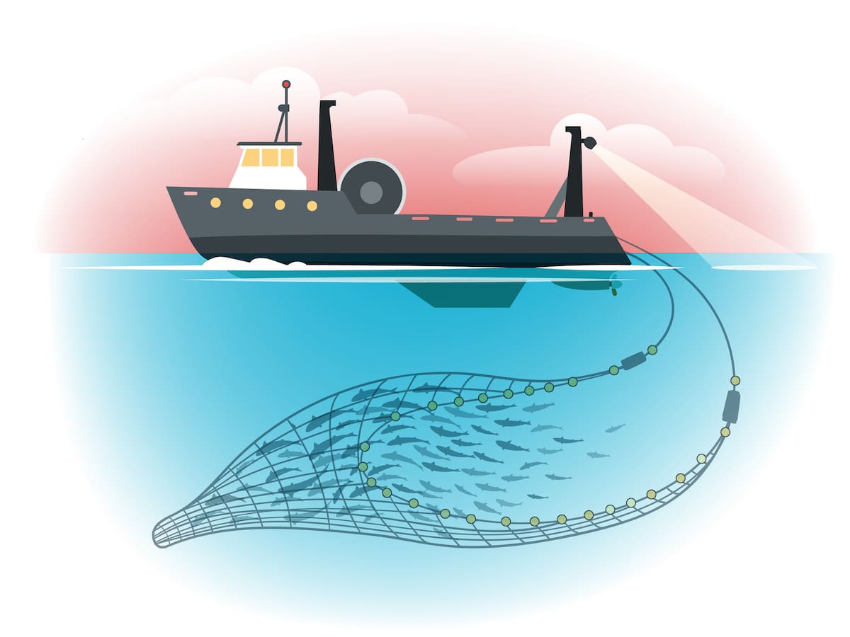 ¿Por qué la pesca de arrastre es un problema para los océanos?