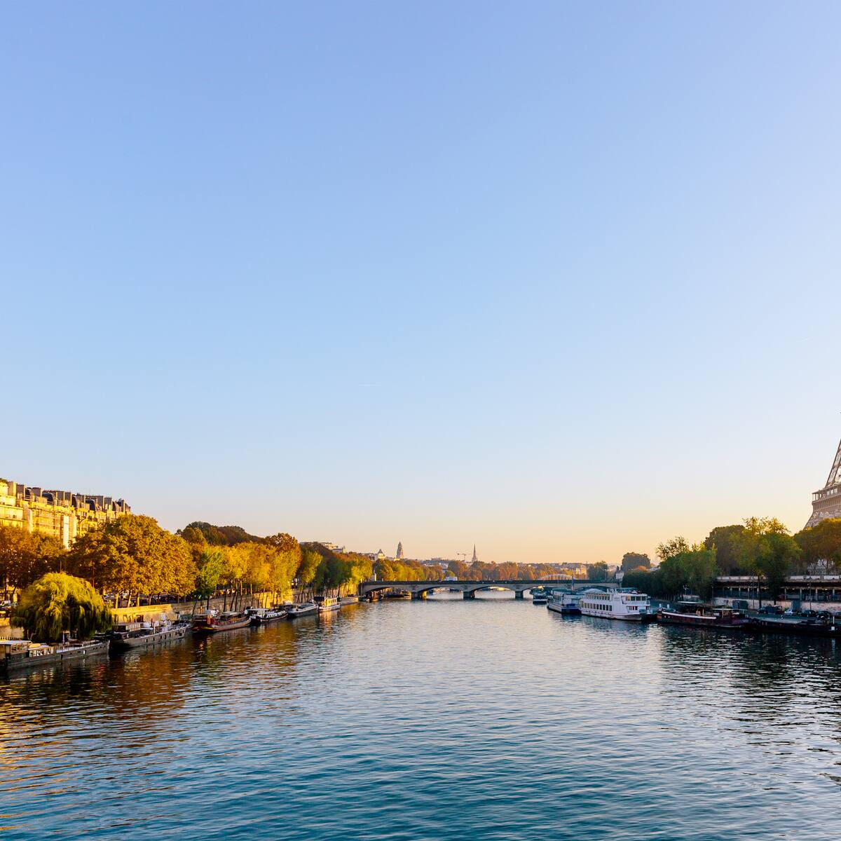 De cloaca a postal: cómo el Támesis y el Sena recuperaron su brillo