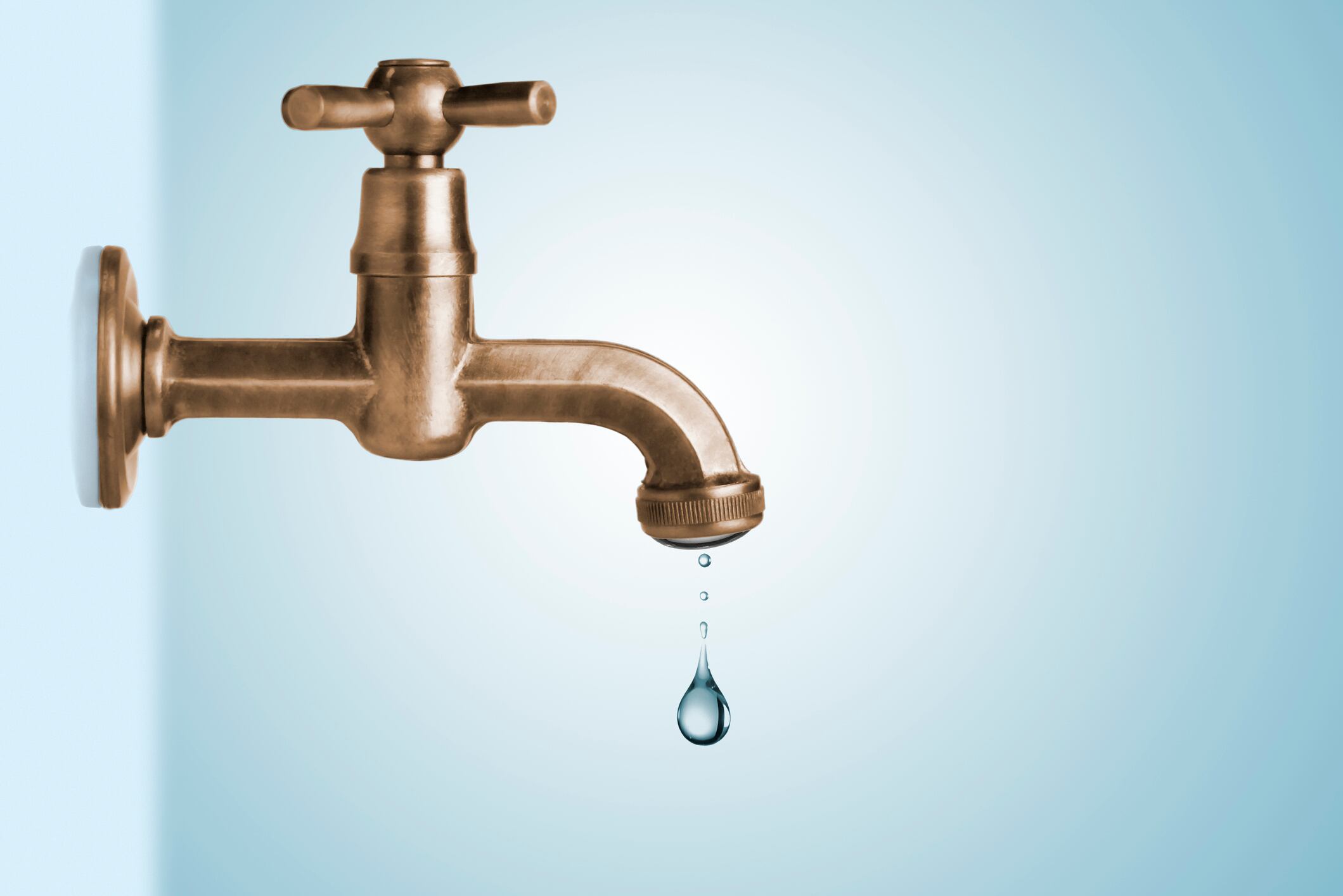 ¿Qué hay en cada gota de agua?