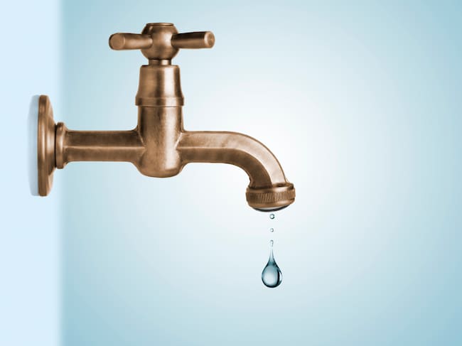 ¿Qué hay en cada gota de agua?