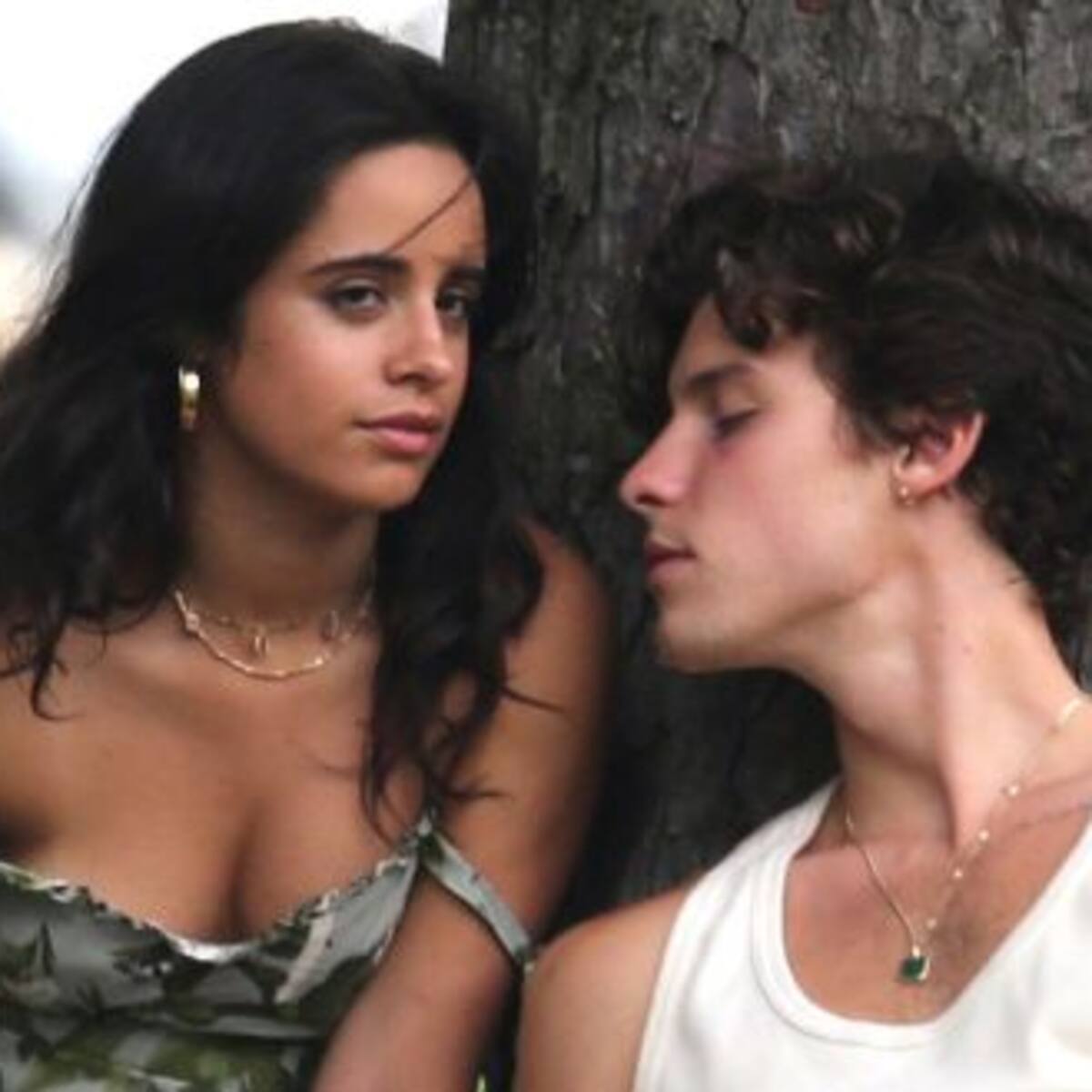 ¿Camila Cabello y Shawn Mendes terminaron por segunda vez?
