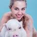 Miley Cyrus y su cerdo... desnudos!