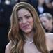La frase del hermano de Shakira lo dice todo sobre cómo está la cantante