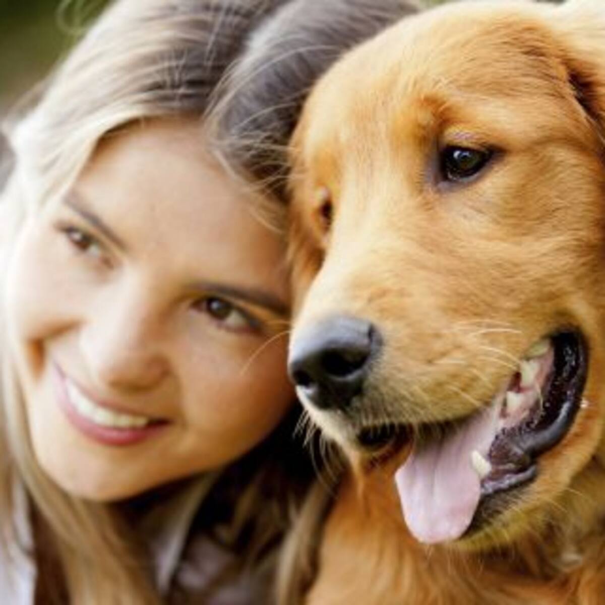 Un perro fantasma revolucionó las redes sociales