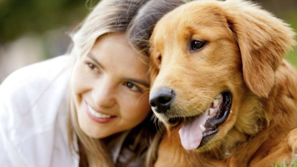 Un perro fantasma revolucionó las redes sociales