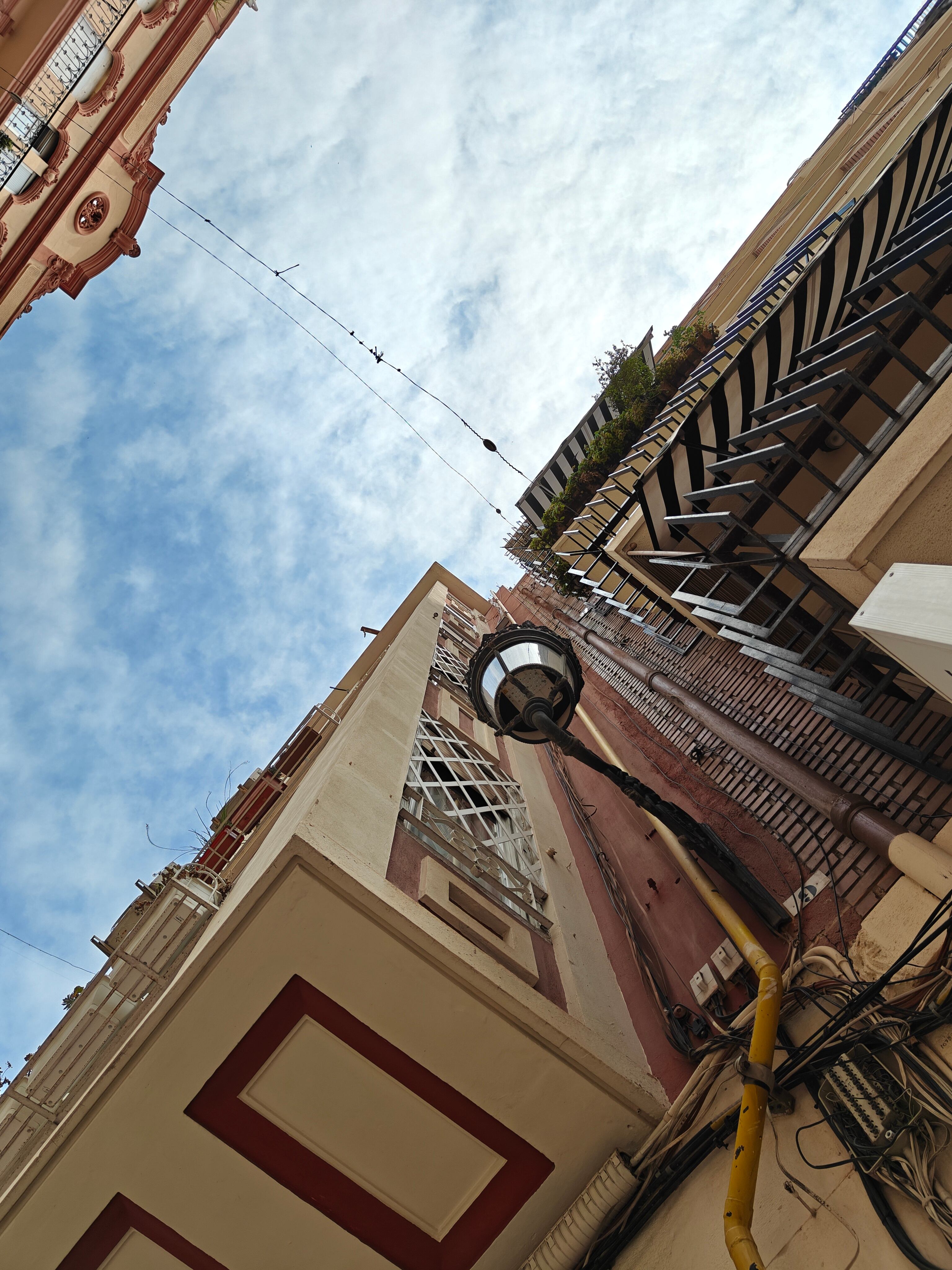 OnePlus Nord 5 (Foto)