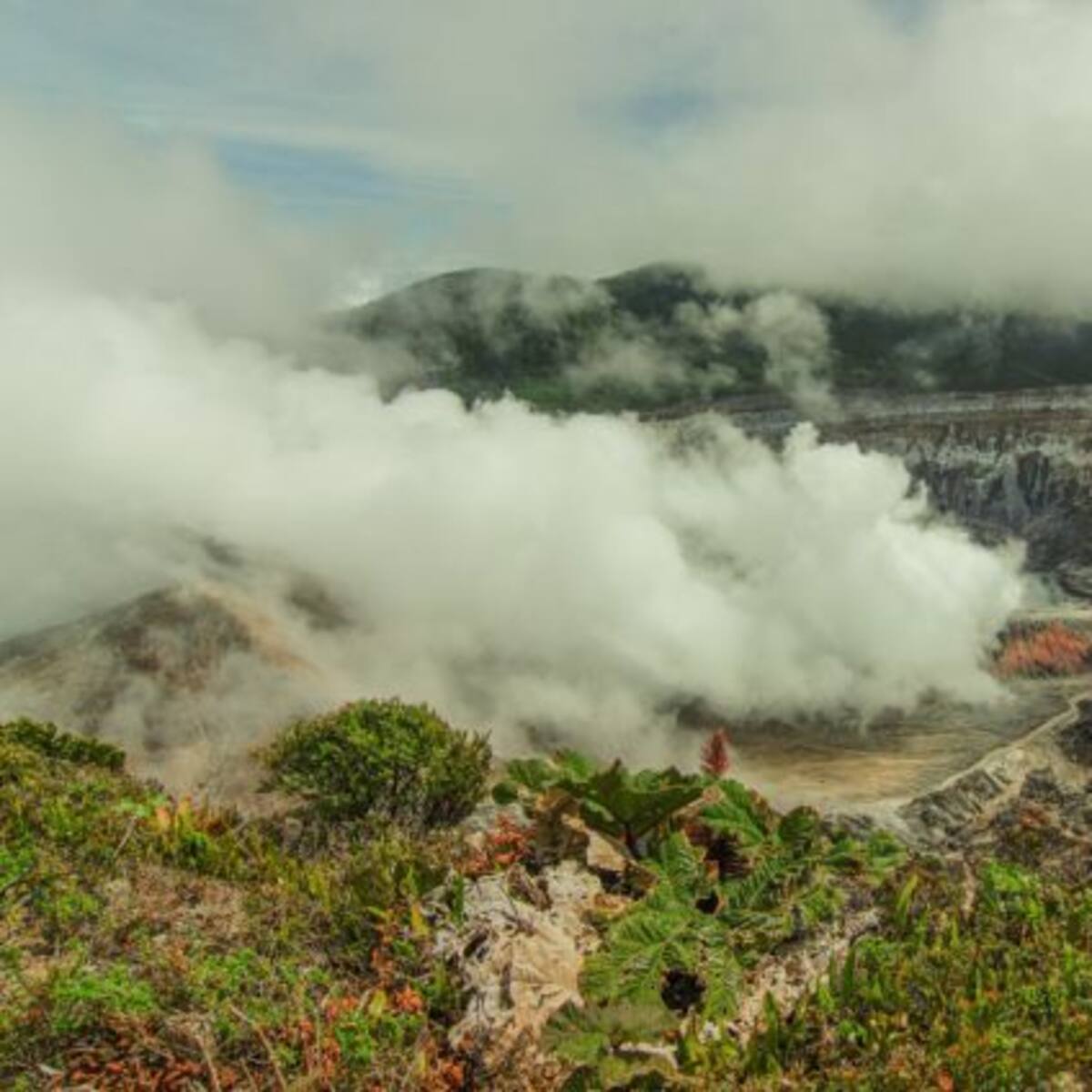 ¡A turistear! El Parque Nacional Volcán Poás reabre sus puertas