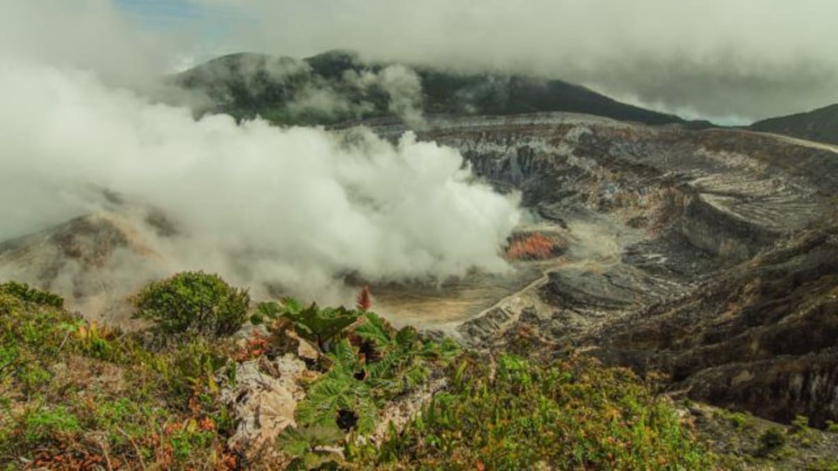 ¡A turistear! El Parque Nacional Volcán Poás reabre sus puertas