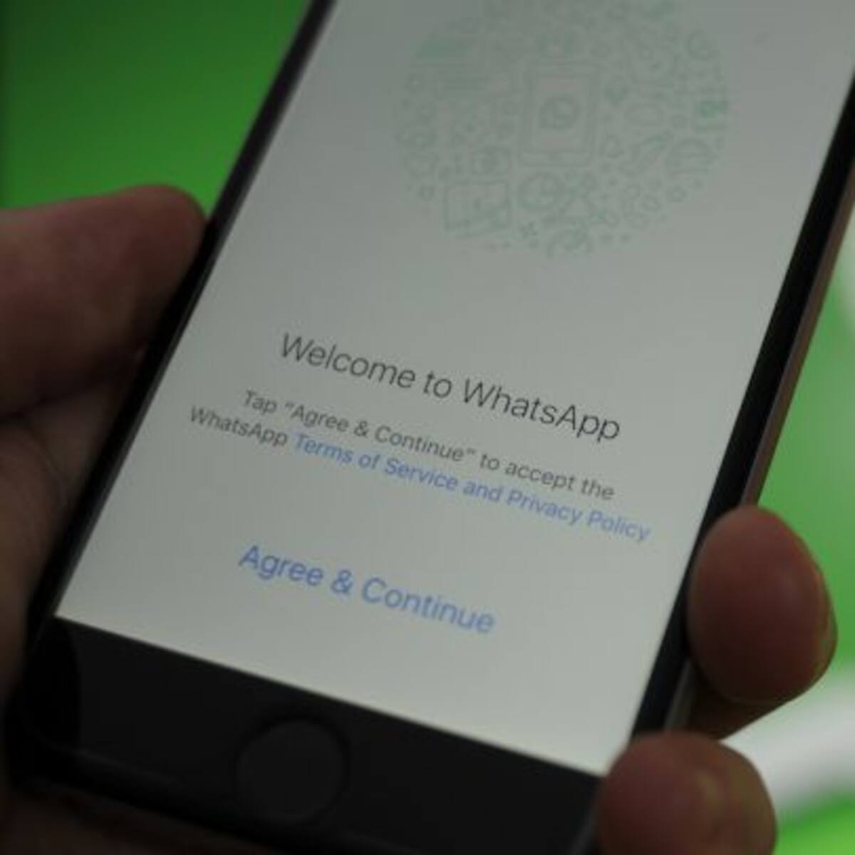 ¡Mirá cómo NO aparecer en línea en WhatsApp!