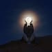 ‘La magia de la luna en ti’: El journal que propone Aloma Martínez con rituales sobre la luna para mejorar nuestro día a día