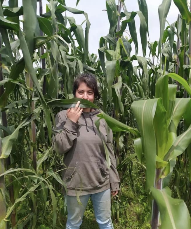 Anayeli apoya a su papá que se dedica a la cosecha, vende tamales de maíz