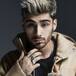 Zayn Malik le da a las fans lo que quieren