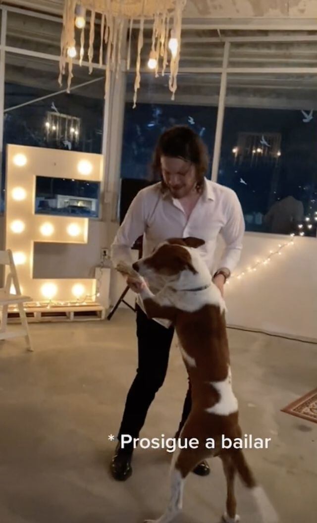 Los invitados hasta se pusieron a bailar con el perro